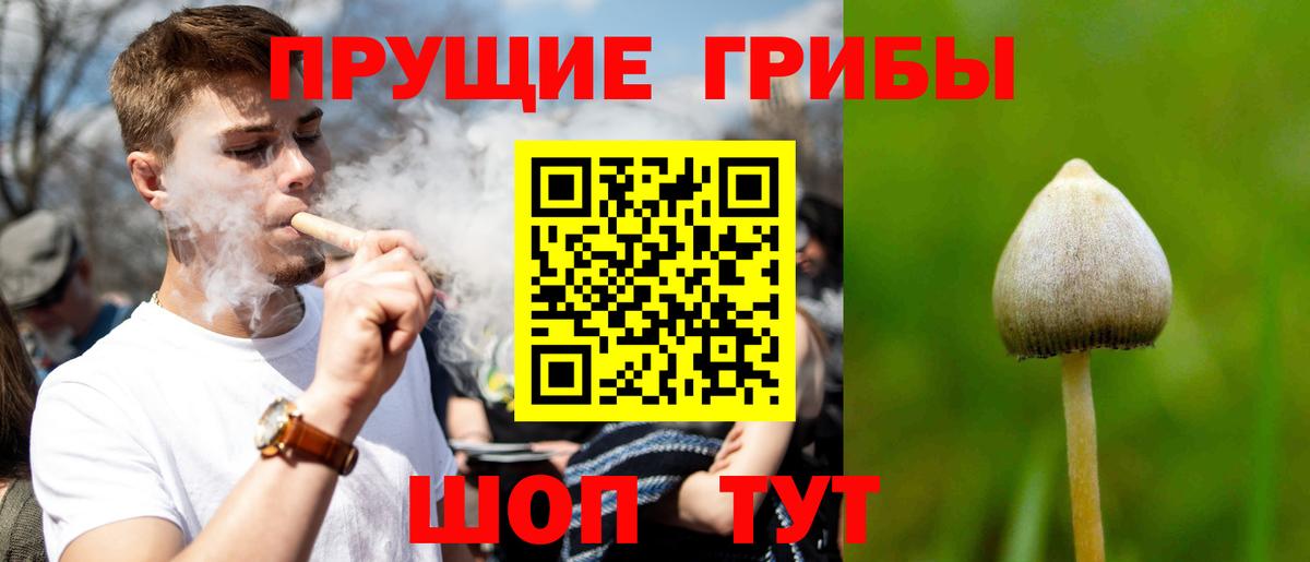 продажа наркотиков  Псилоцибиновые грибы MAGIC MUSHROOMS  Вход с VPN  Дедовск 