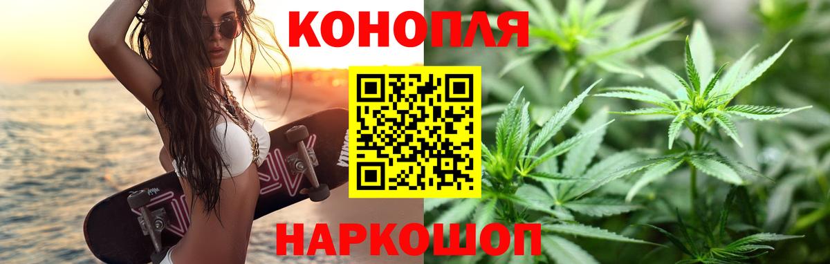 Канабис планчик Дедовск